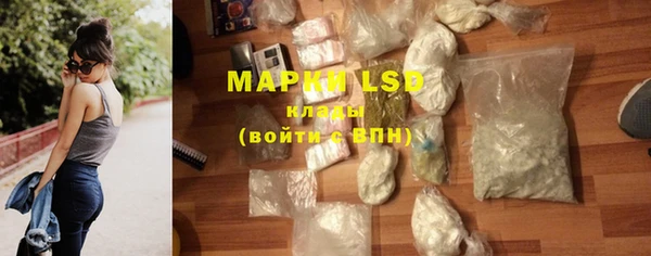 гашик Новодвинск