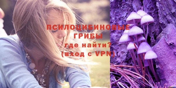 ешки Алексин