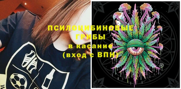 Альфа ПВП Алзамай