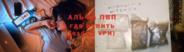 ешки Алексин