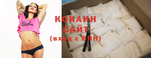 ешки Алексин