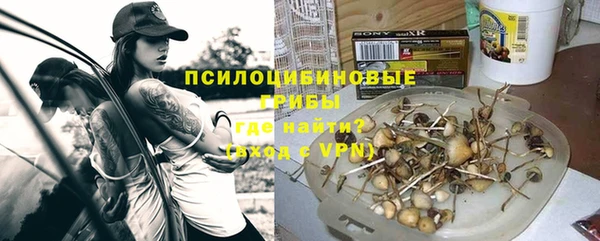 ешки Алексин