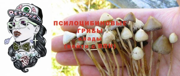 Альфа ПВП Алзамай