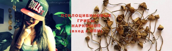 Альфа ПВП Алзамай